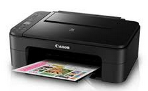 Canon PIXMA TS3170 Drivers Download